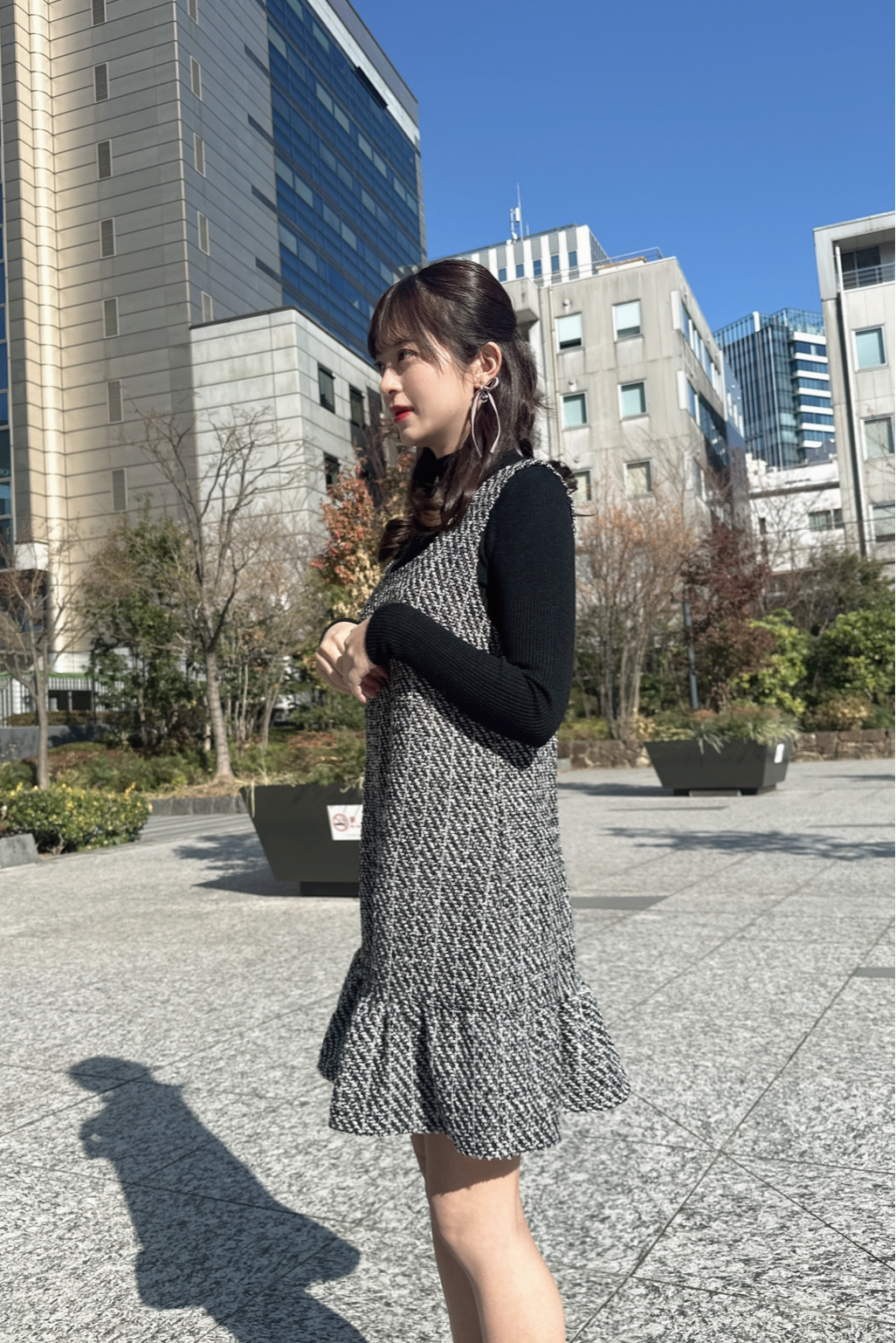 Elegant tweed dress set